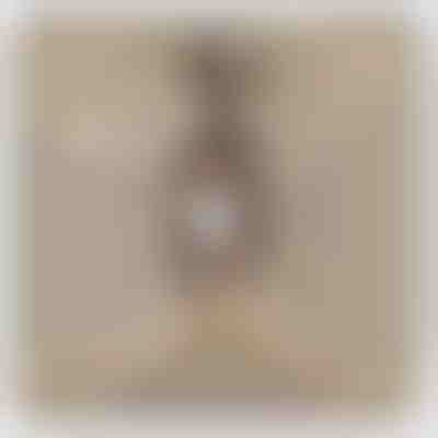 «Para mi hija» - Cadena de oro blanco de 14 quilates con colgante de circonitas LEONA