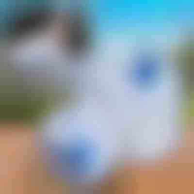 Depósito de agua plegable (10L) | AQUATANK