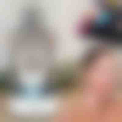 Limpiador profesional de brochas de maquillaje | BRUSHNISTA