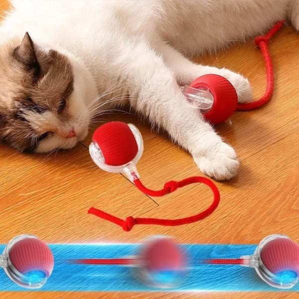 GATOPLAY