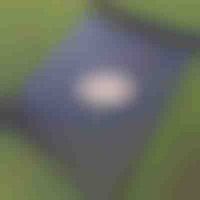 Manta de crecimiento sin malas hierbas (0,95x10m) | VEGUARD